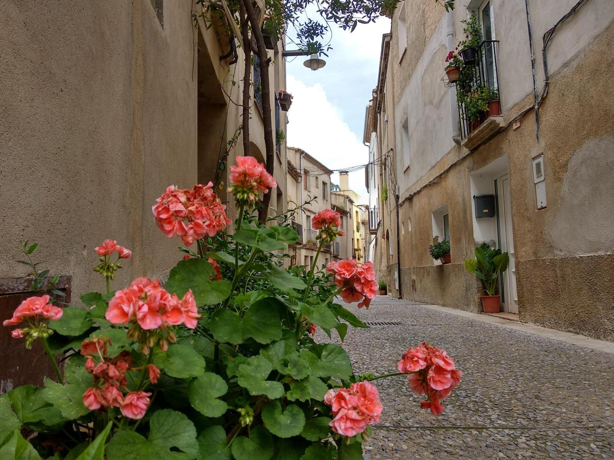 Girmas Casa De Turisme Rural * Navata